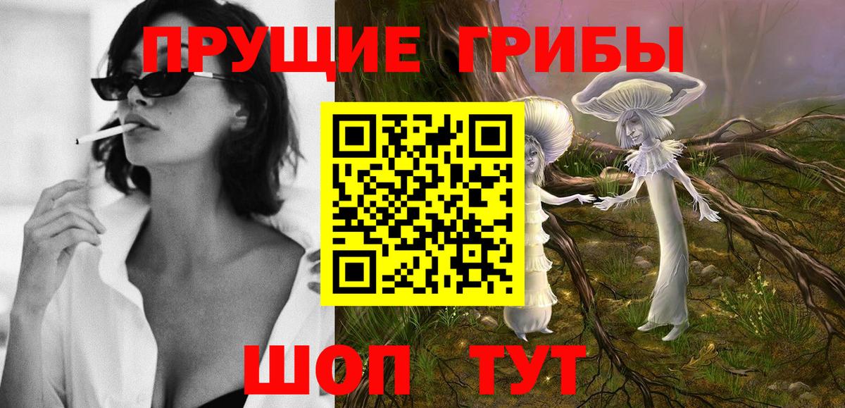 Псилоцибиновые грибы Psilocybe  Вход с VPN  Галлюциногенные грибы GOLDEN TEACHER  Альметьевск 